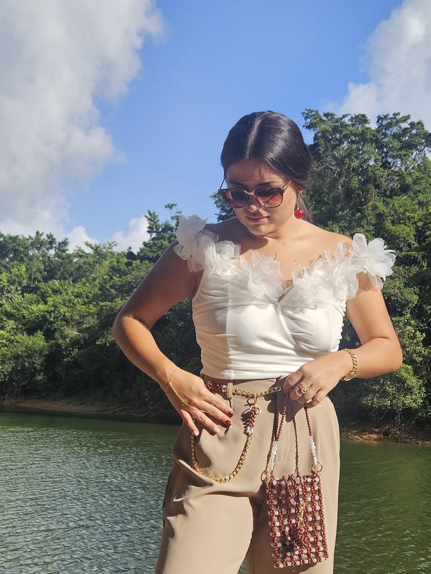 Cartera en Perlas: Brown