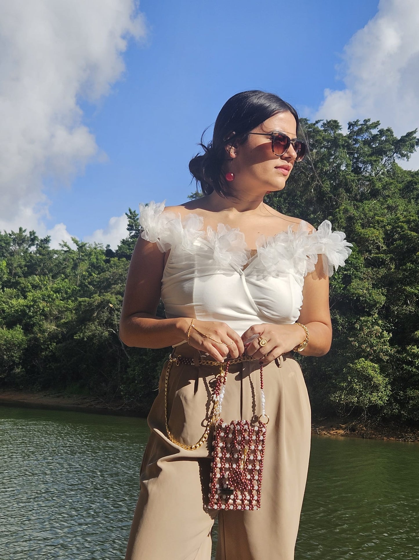Cartera en Perlas: Brown